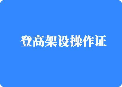 97操逼网登高架设操作证